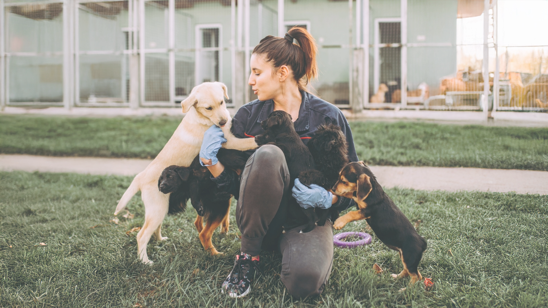 Drumheller &amp; District Humane Society: With the Community Behind Us